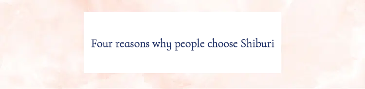 Four reasons why people choose Shiburi